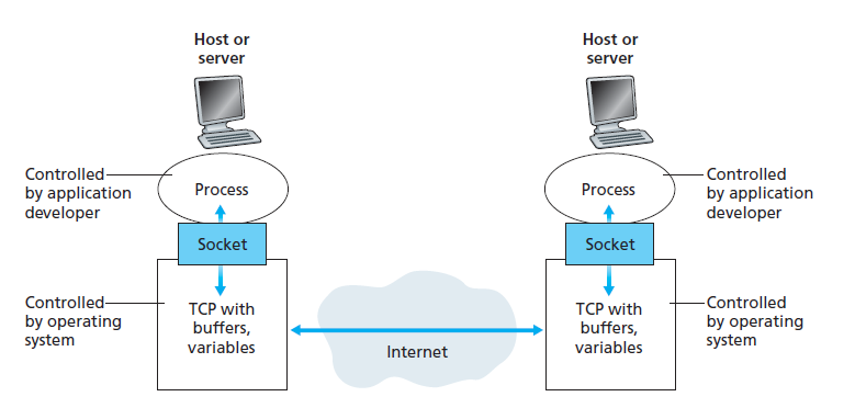 sockets