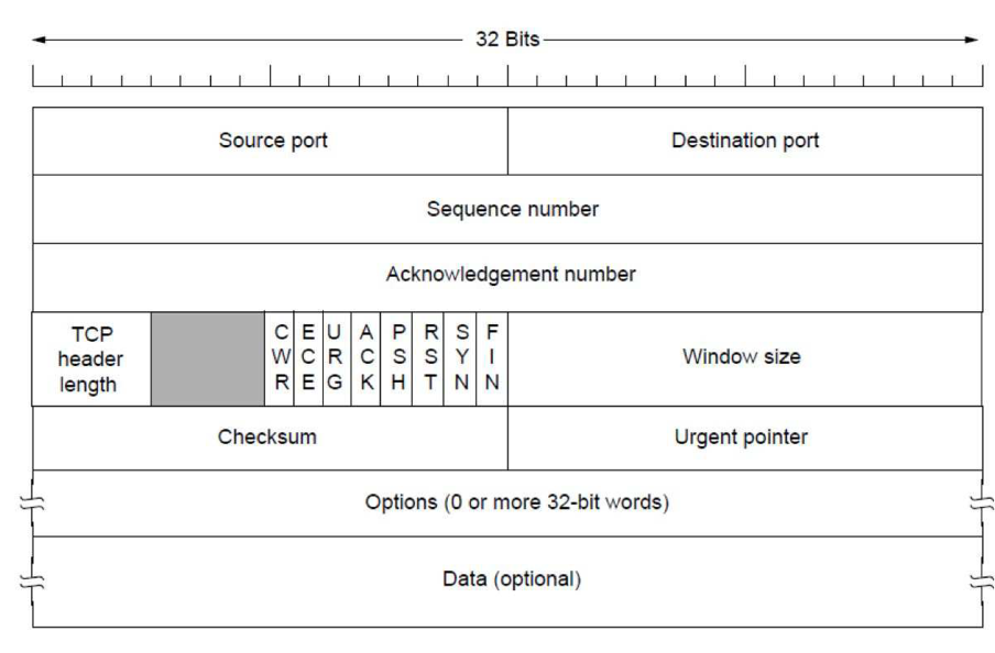 tcp_header