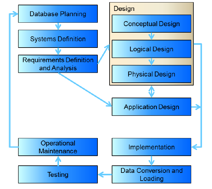 database development lifecycle