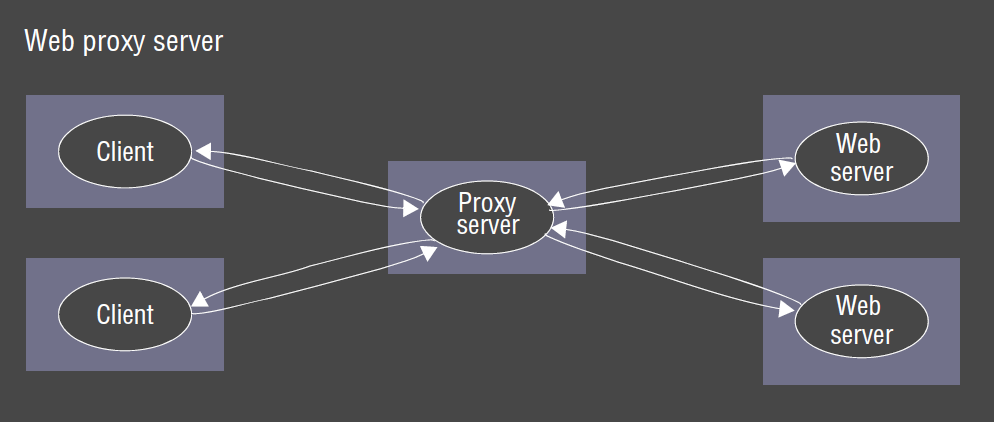 Web proxy