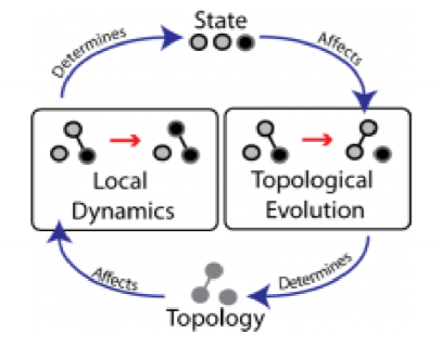 adaptive networks