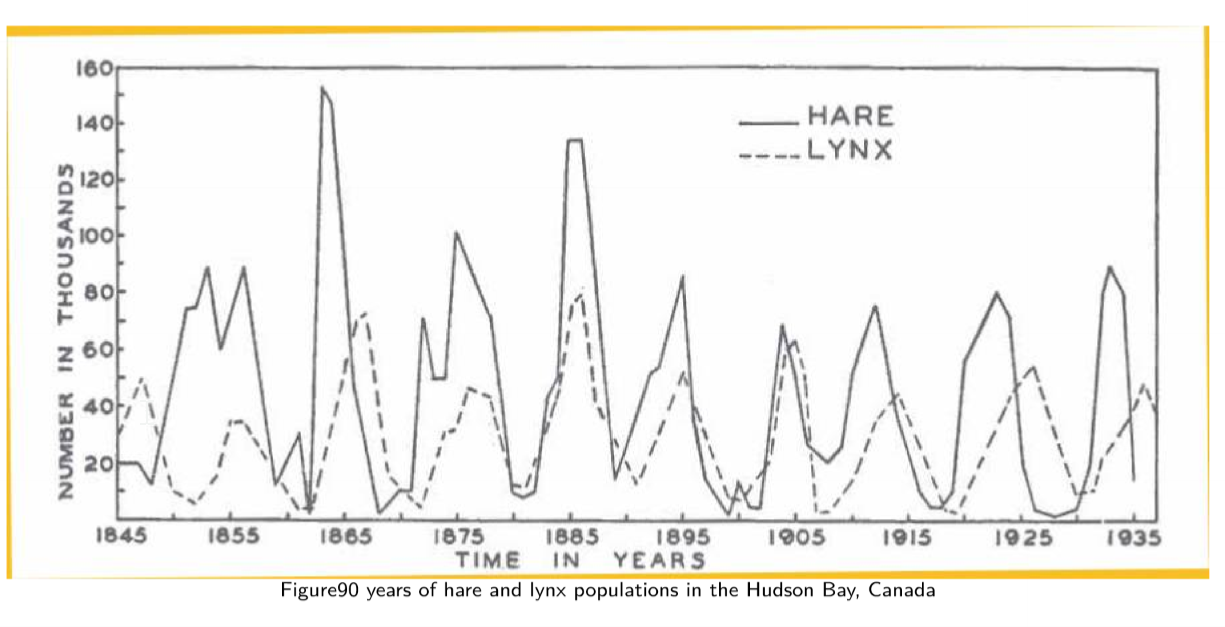 lynx-hare
